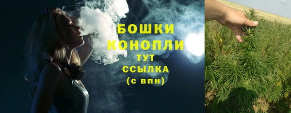 ПСИЛОЦИБИНОВЫЕ ГРИБЫ Лабытнанги