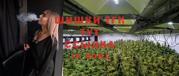ПСИЛОЦИБИНОВЫЕ ГРИБЫ Лабытнанги