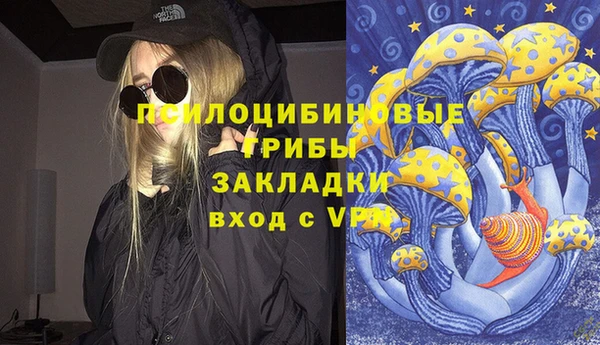 ПСИЛОЦИБИНОВЫЕ ГРИБЫ Лабытнанги