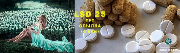 ПСИЛОЦИБИНОВЫЕ ГРИБЫ Лабытнанги
